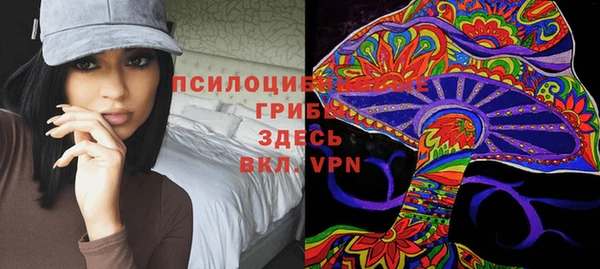 прущий лед Алзамай