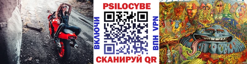Псилоцибиновые грибы GOLDEN TEACHER  где найти наркотики  Междуреченск 